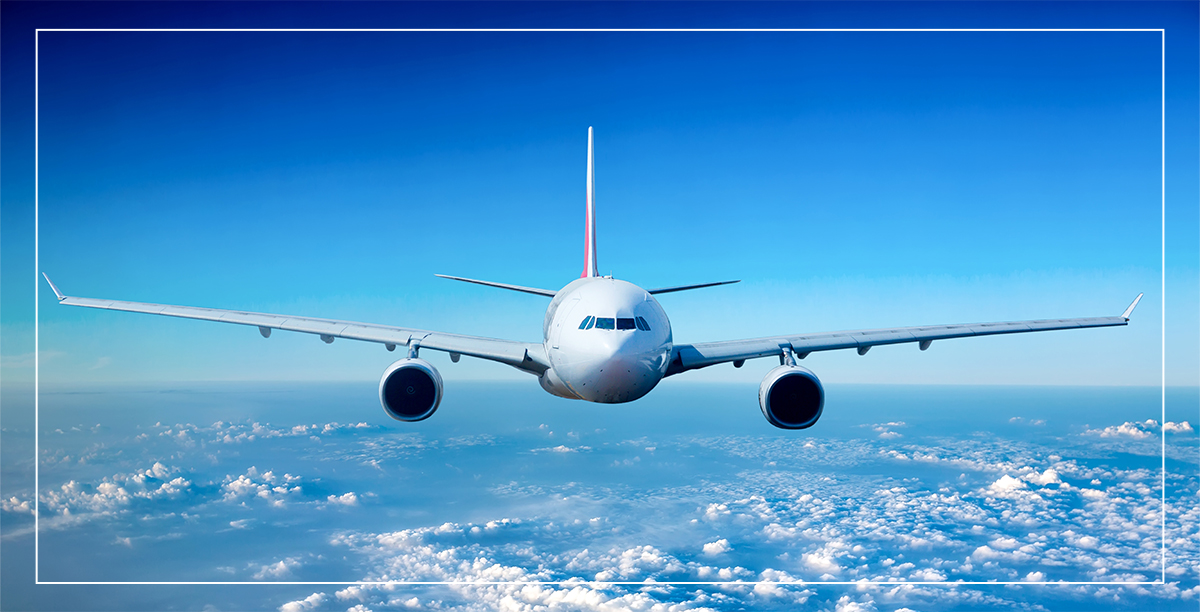 333��������