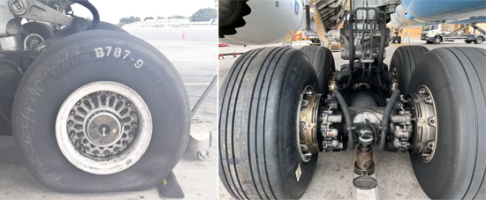 333���� - ��̬�ȵ������Ż�